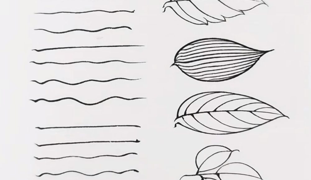 how-to-draw-thin-lines-ink-brush2